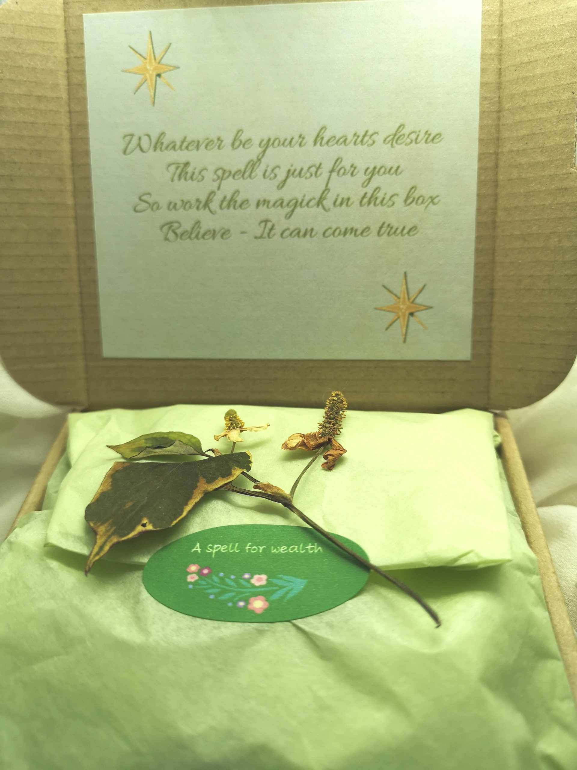 inner contents of wealth spell kit