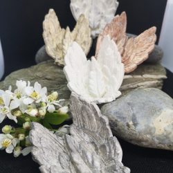 Small Angel Wings Trinket Dishes
